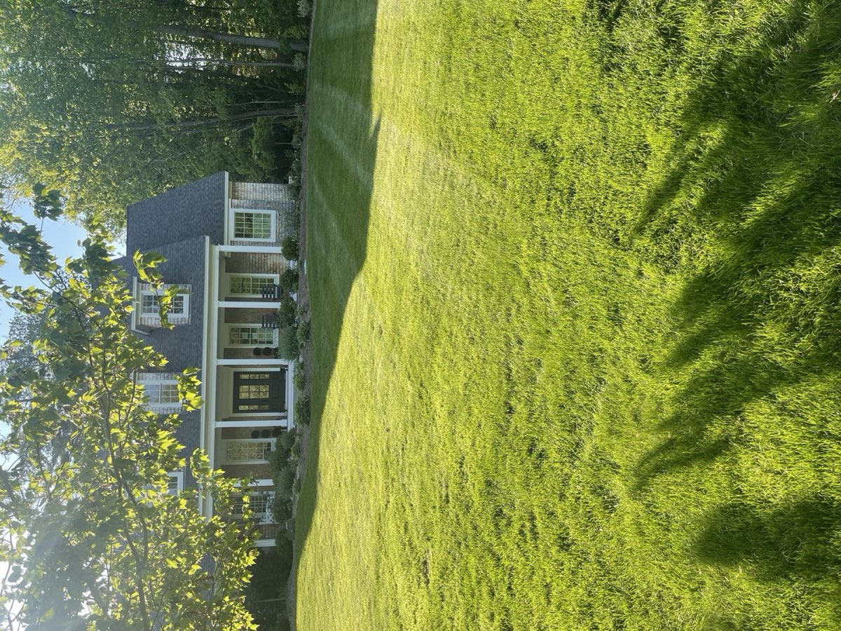Wooded lakefront property in the NH Lakes Region